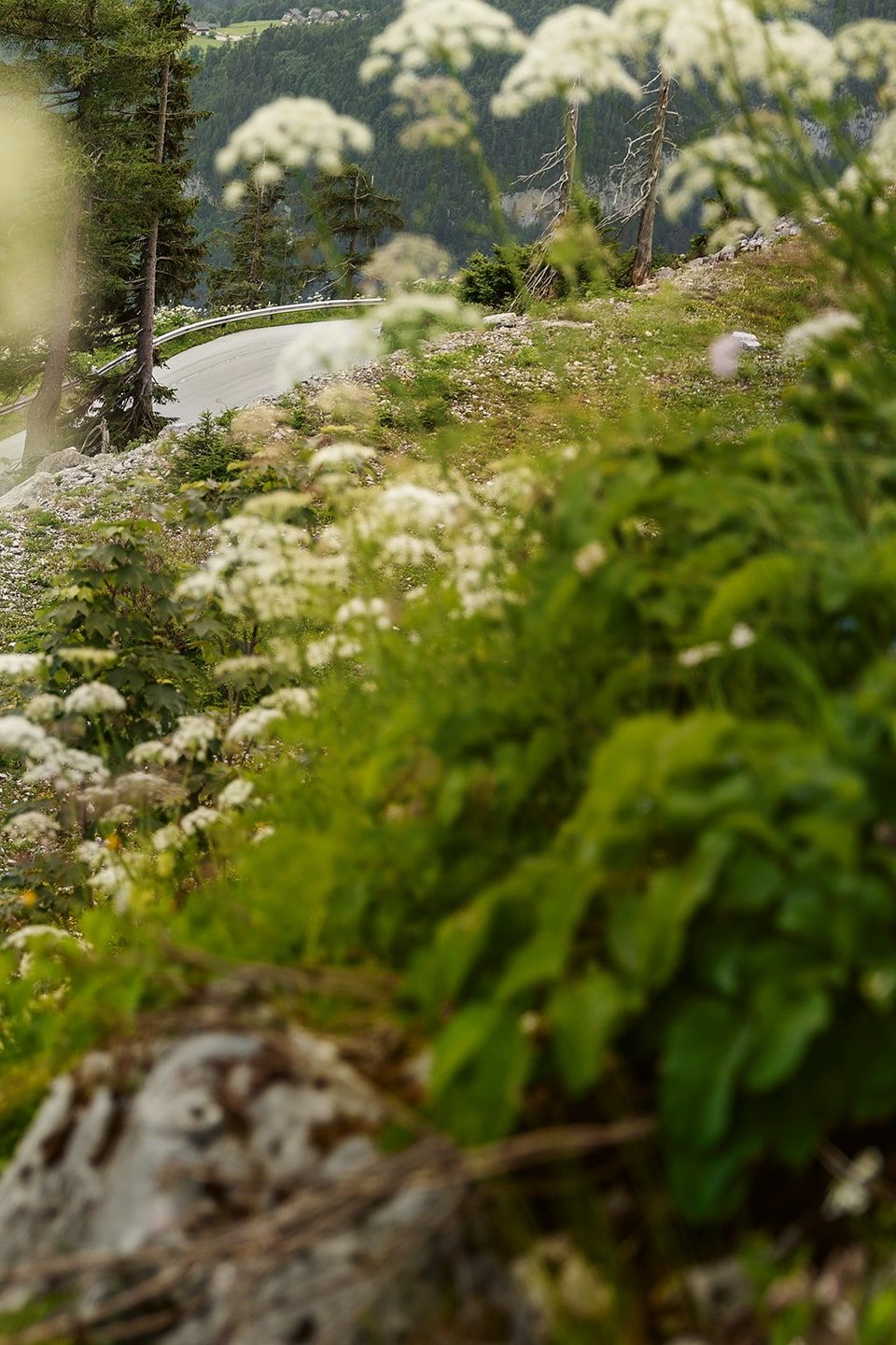 zwei VW Grand California in Fahrt auf einer Bergstraße