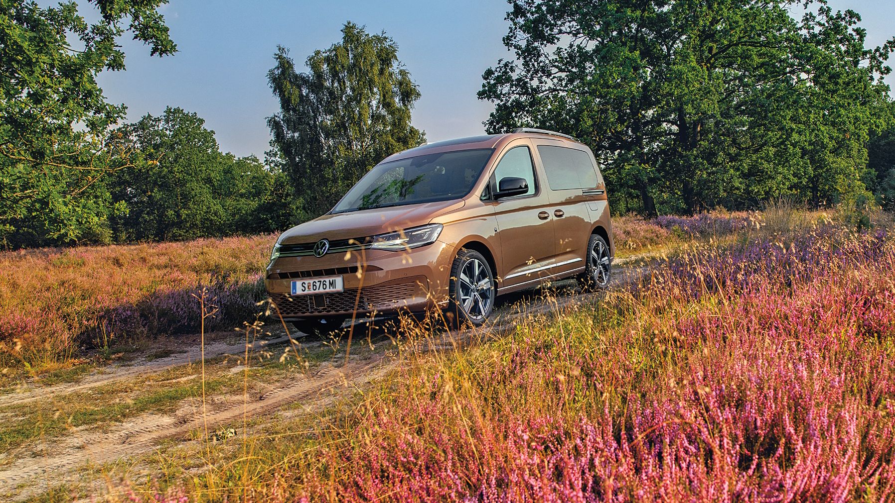 Bronzefarbener Caddy in der Natur, Fahrerseite