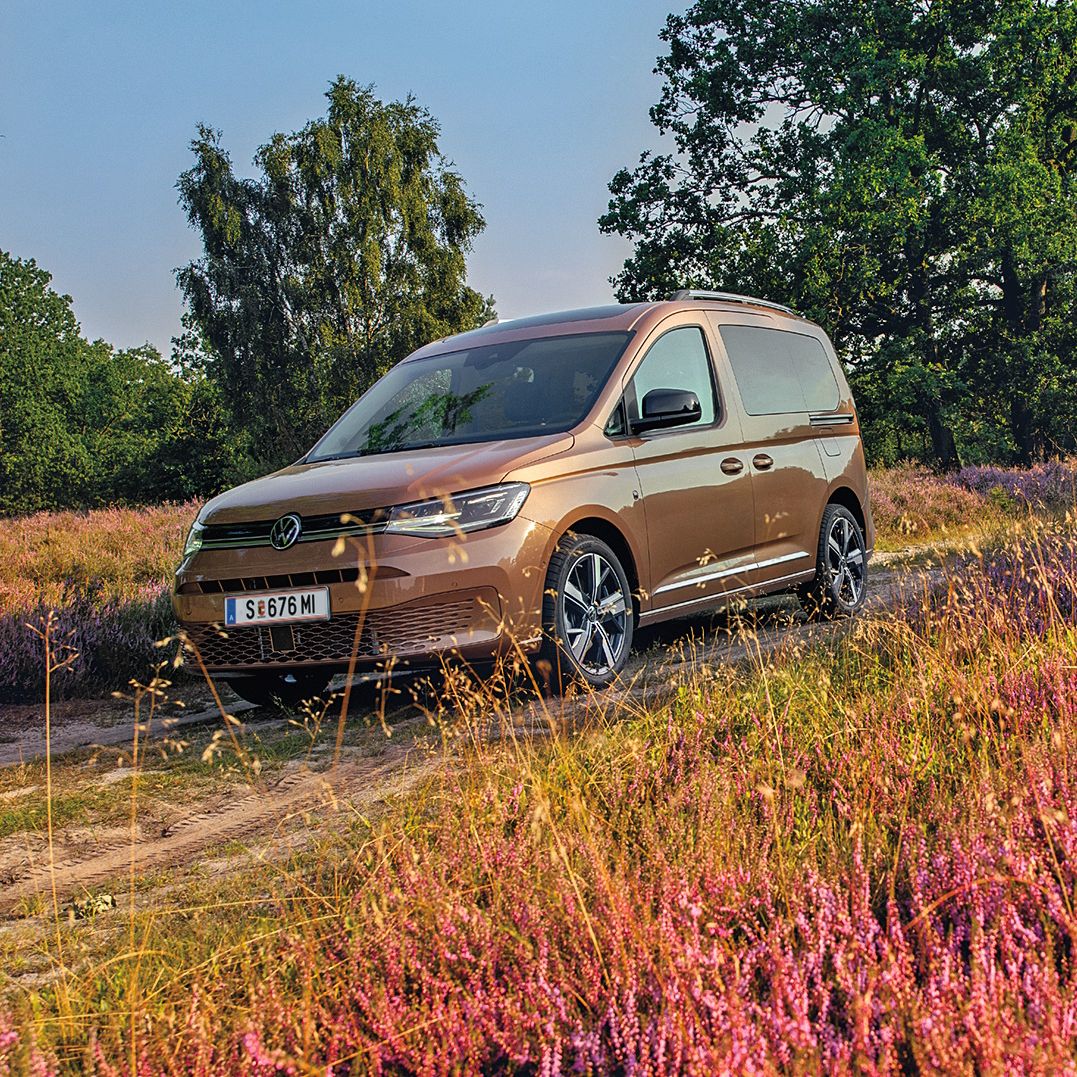 Bronzefarbener Caddy in der Natur, Fahrerseite