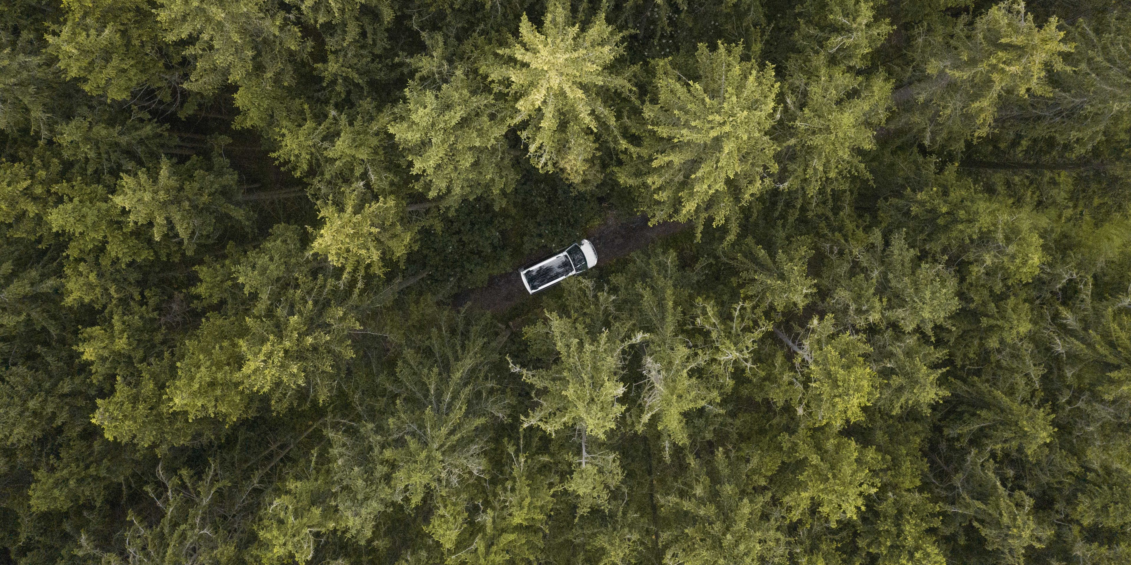 Luftbildansicht eines Volkswagen California der durch einen Wald fährt