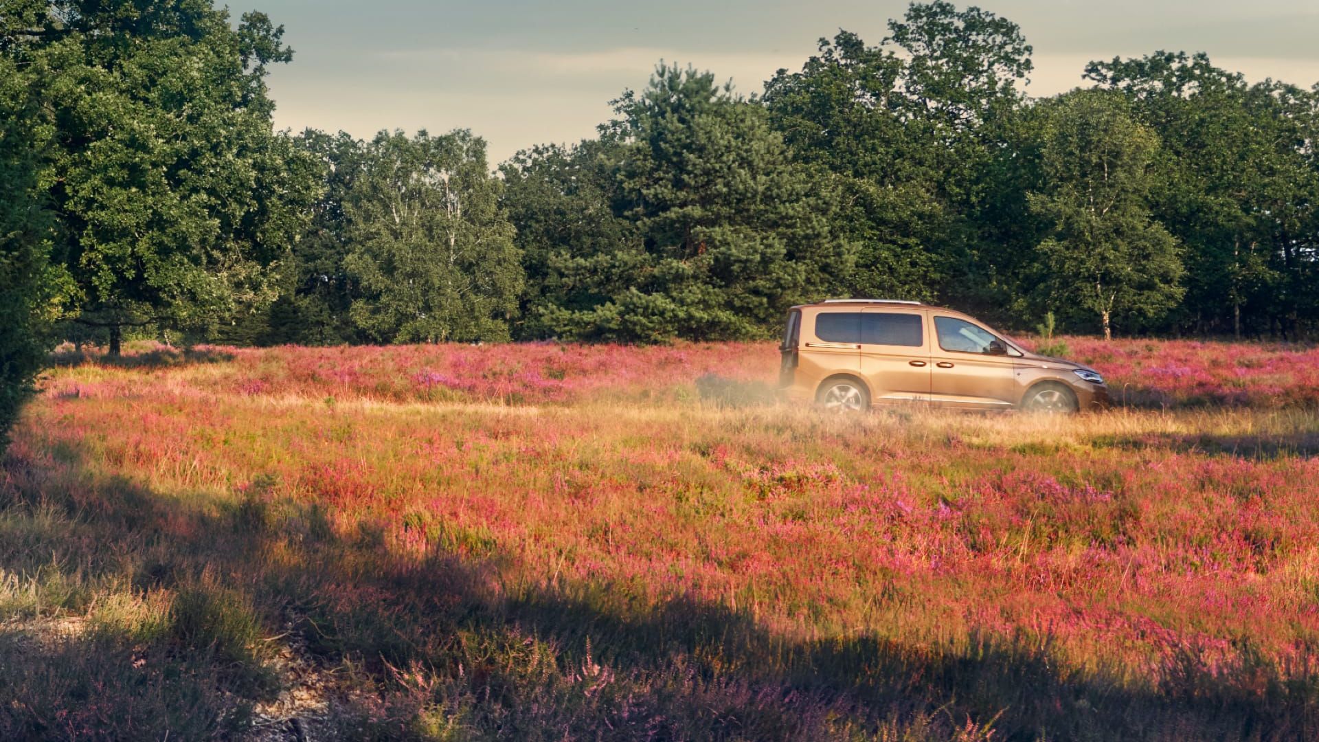 Ein bronzener VW Caddy fährt entlang einer Waldstraße, umgeben von Blumen und Bäumen